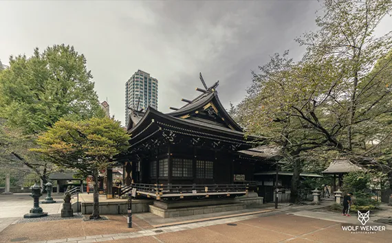 Wender Media - SEO Agentur Leipzig