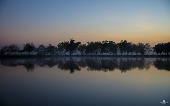 SEO Agentur Sachsen - Suchmaschinenoptimierung für die gesamte Region