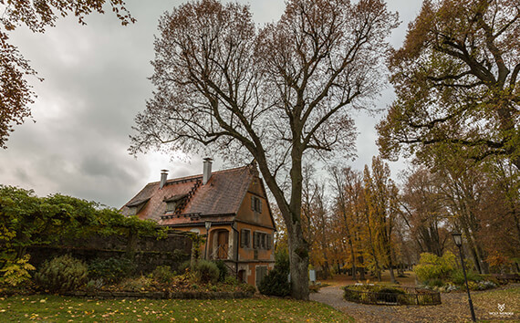 SEO Agentur Chemnitz - Suchmaschinenoptimierung in Ihrer Nähe