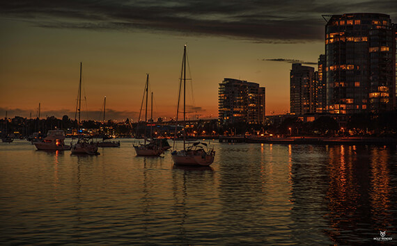 SEO Agentur Erfurt - Suchmaschinenoptimierung in Ihrer Nähe