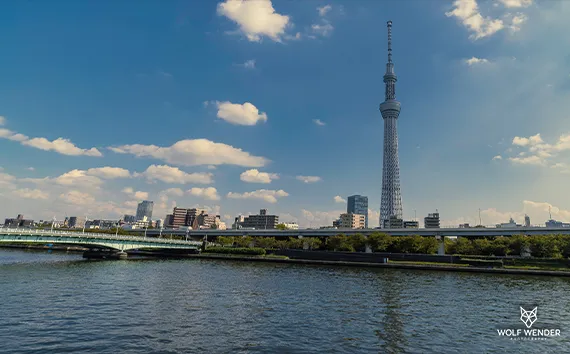 FAQ - Häufig gestellte Fragen zu SEO in Leipzig