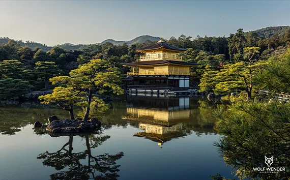 Mockup Gestaltung - Professionelle Website-Entwuerfe und Prototypen