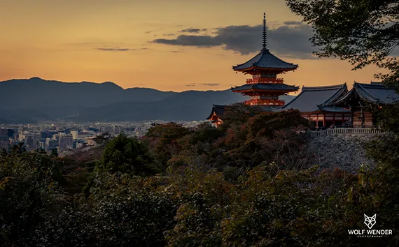 Local SEO - Lokale Sichtbarkeit für Ihr Unternehmen in Leipzig